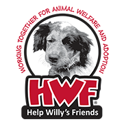 Help Willy's Friends